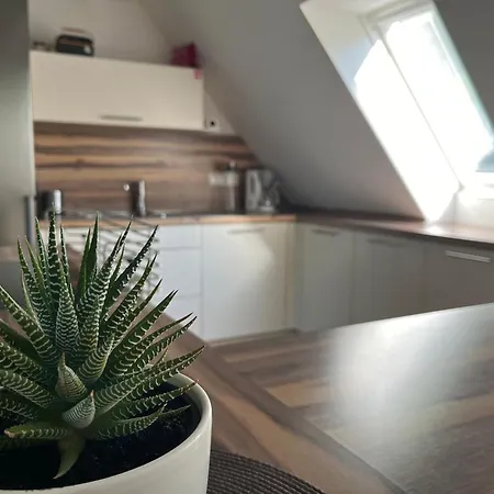 Διαμέρισμα Ferienwohnung Goeman 25664